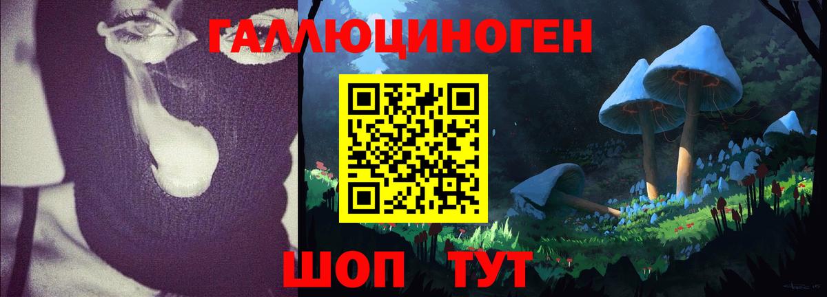 Галлюциногенные грибы GOLDEN TEACHER  Вход с VPN  Новошахтинск 